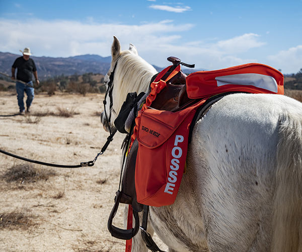 Sheriff's Office Posse horse looking toward a Posse volunteer member.